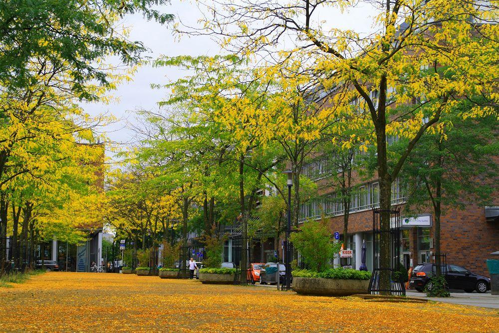 Essen City Suites Extérieur photo